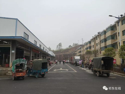 祁東縣大型活禽水產綜合批發市場 位置、功能與區域商貿新格局