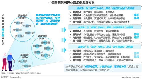 中國智慧養(yǎng)老行業(yè)研究報告 物聯(lián)網(wǎng)應(yīng)用服務(wù)的創(chuàng)新與展望
